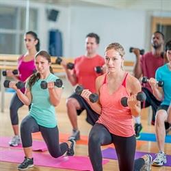 Fly Gym