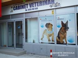 Cabinet Veterinar Dailvet Profesional