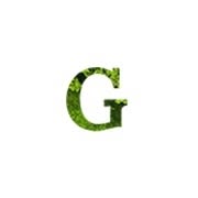 Gazonul verde