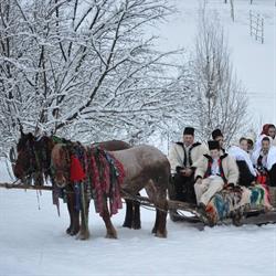 Cabana Iza Maramures Barsana