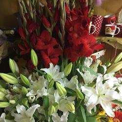 Orchidea Virág- és Ajándéküzlet