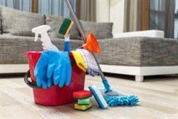 DOINA CLEANER S.R.L.