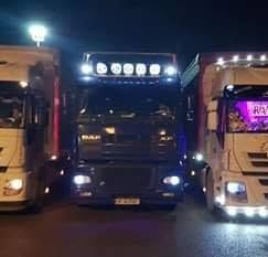 F.N.T. DINAMIC TRANSPORT LINE SRL