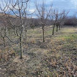 AREX Imobiliare