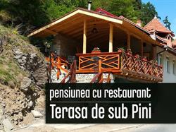 Pensiunea Pantilimon si Restaurant