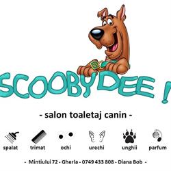 ScoobyDee Groom