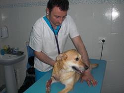 FuniVet