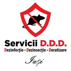 Servicii DDD Iasi