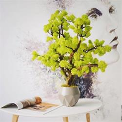 Frena Design