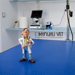 Emanuali Vet Cabinet Medical Veterinar & Farmacie Veterinara