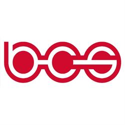 BCS Automotive Interface Solutions Romania