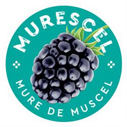 Murescel