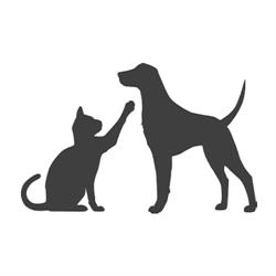 ORILD VET