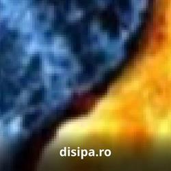 Disipa Com