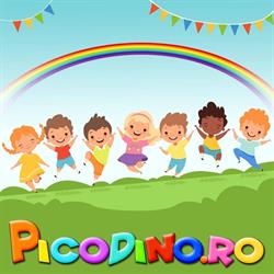 Picodino.ro
