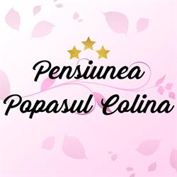 Pensiunea Popasul Colina