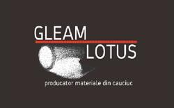 GLEAM LOTUS SRL