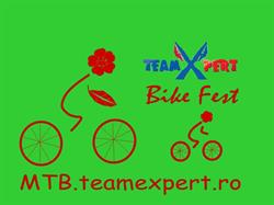 TeamXpert
