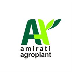 Amirati