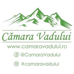 Cămara Vadului