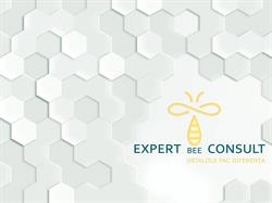 Expert BEE Consult