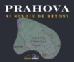 Beton la cifa Prahova