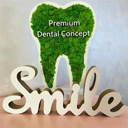Premium Dental Concept