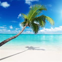 PRISCOM TRAVEL