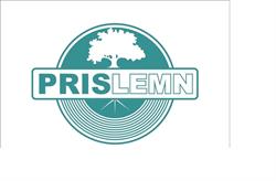 Prislemn
