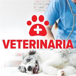Veterinaria - Cabinet veterinar Braşov