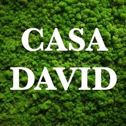 Casa David
