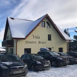 Vila dintre brazi