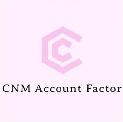 CNM ACCOUNT FACTOR SRL