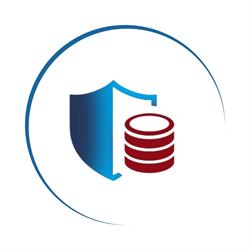 DS Cyberguard SRL