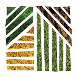 Tesa Tehnologie Agricola