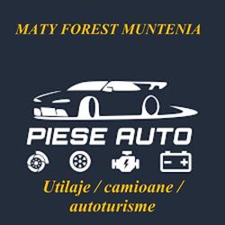 MATY FOREST MUNTENIA SRL