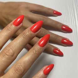 Venus Beauty Salon