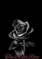 The Black Rose