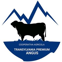 TRANSYLVANIA PREMIUM ANGUS Cooperativa Agricola