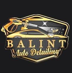 Balint Tour