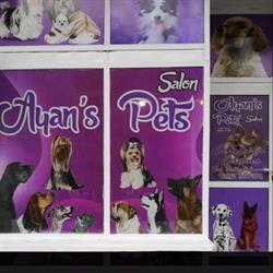 Ayan's Pets