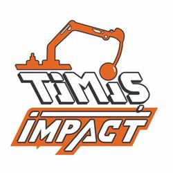 Timiş Impact