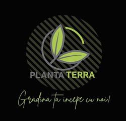 PLANTA TERRA