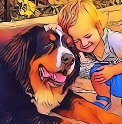 Dede Veterinary