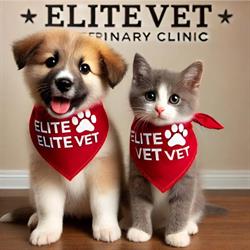 Elite Vet