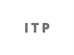 ESTRADA SRL STATIE ITP AUTO TARGU FRUMOS