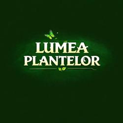 Plante Ornamentale Craiova-Lumea Plantelor