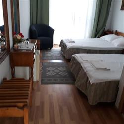 Casa Vladuţ