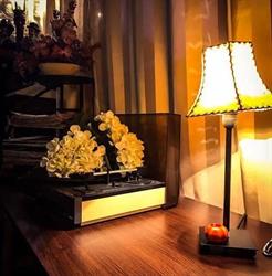 Restaurant Pizzerie Corso