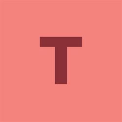 TIMTRONICS INDUSTRIAL TECHNOLOGIES SRL